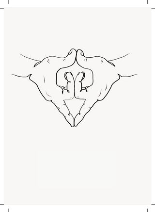 yoni mudra